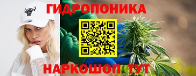 марихуана Краснознаменск