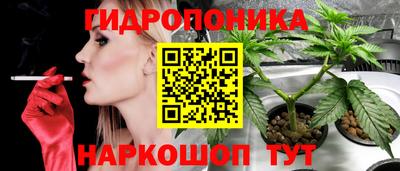 марихуана Краснознаменск