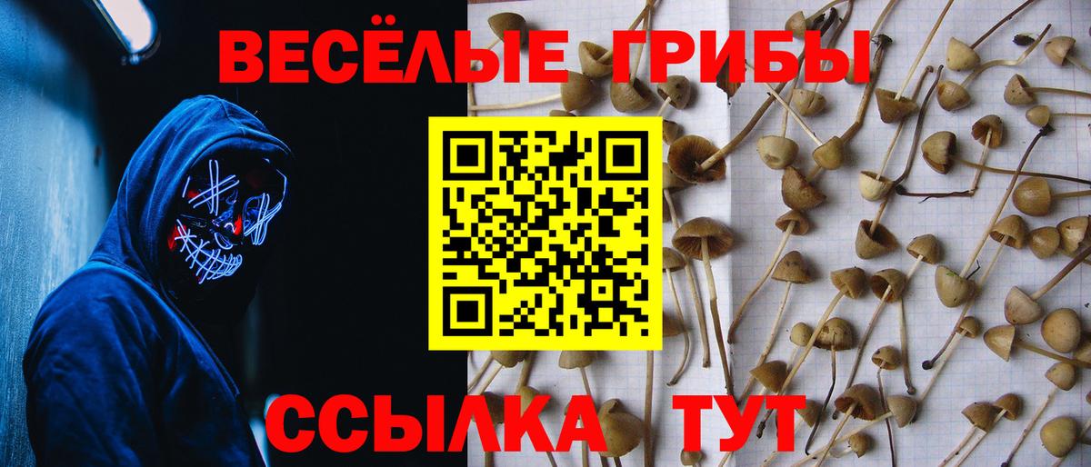 Азов  Псилоцибиновые грибы Cubensis  Псилоцибиновые грибы Magic Shrooms  Вход с VPN 