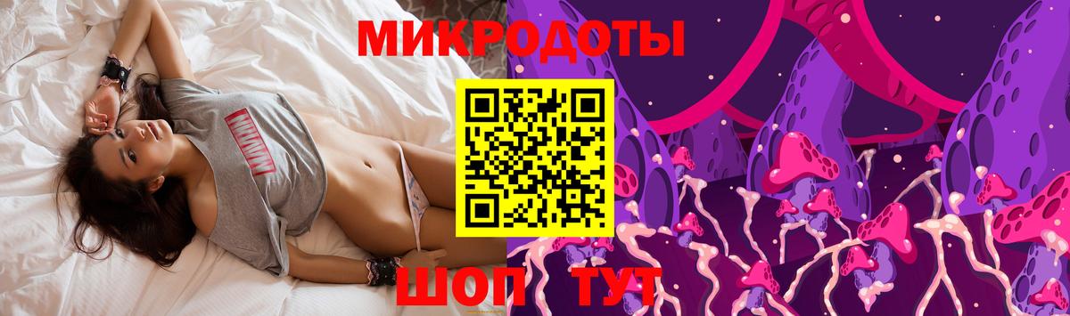 Псилоцибиновые грибы Cubensis Азов